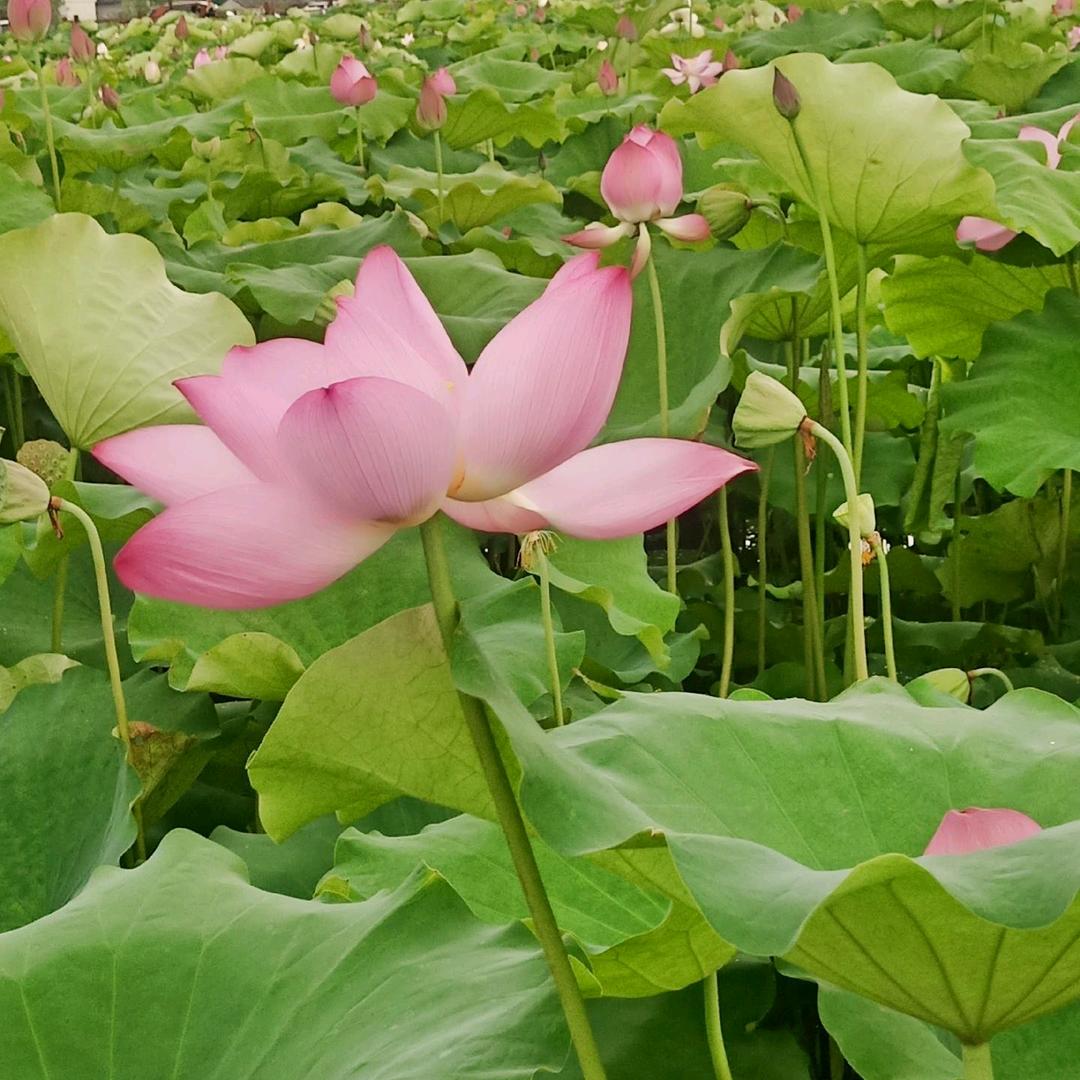 wo我爱我家822