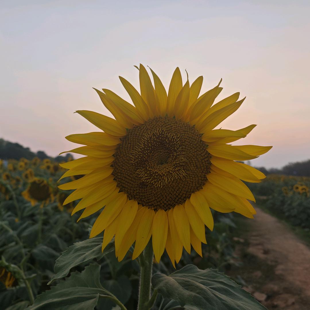 我是我自己的宝贝
