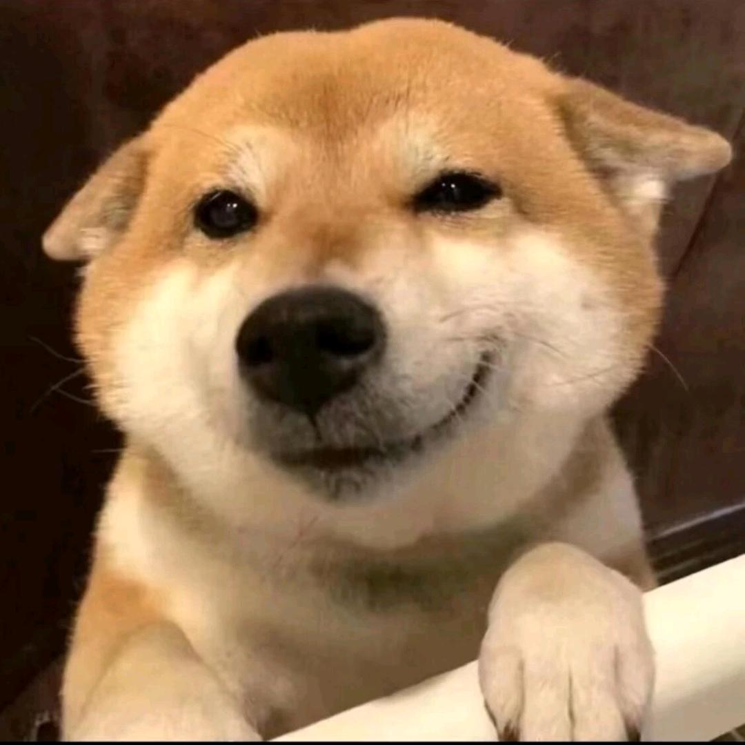 被照亮的毛星球