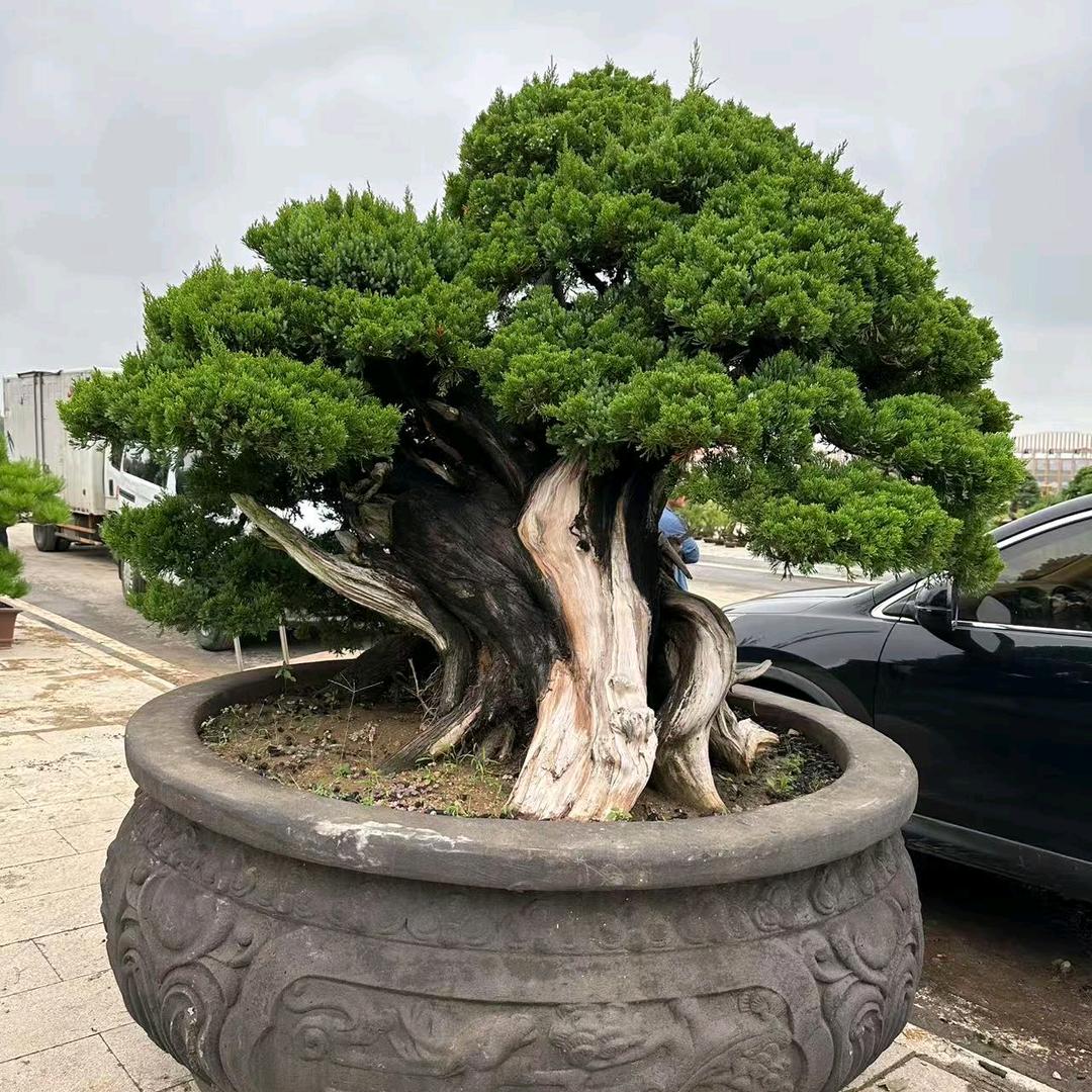 洛花澜园艺坊