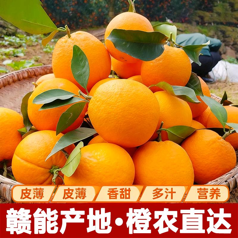 雅颂·脐橙