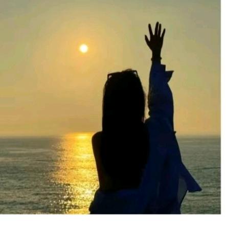 温柔暴躁小仓鼠