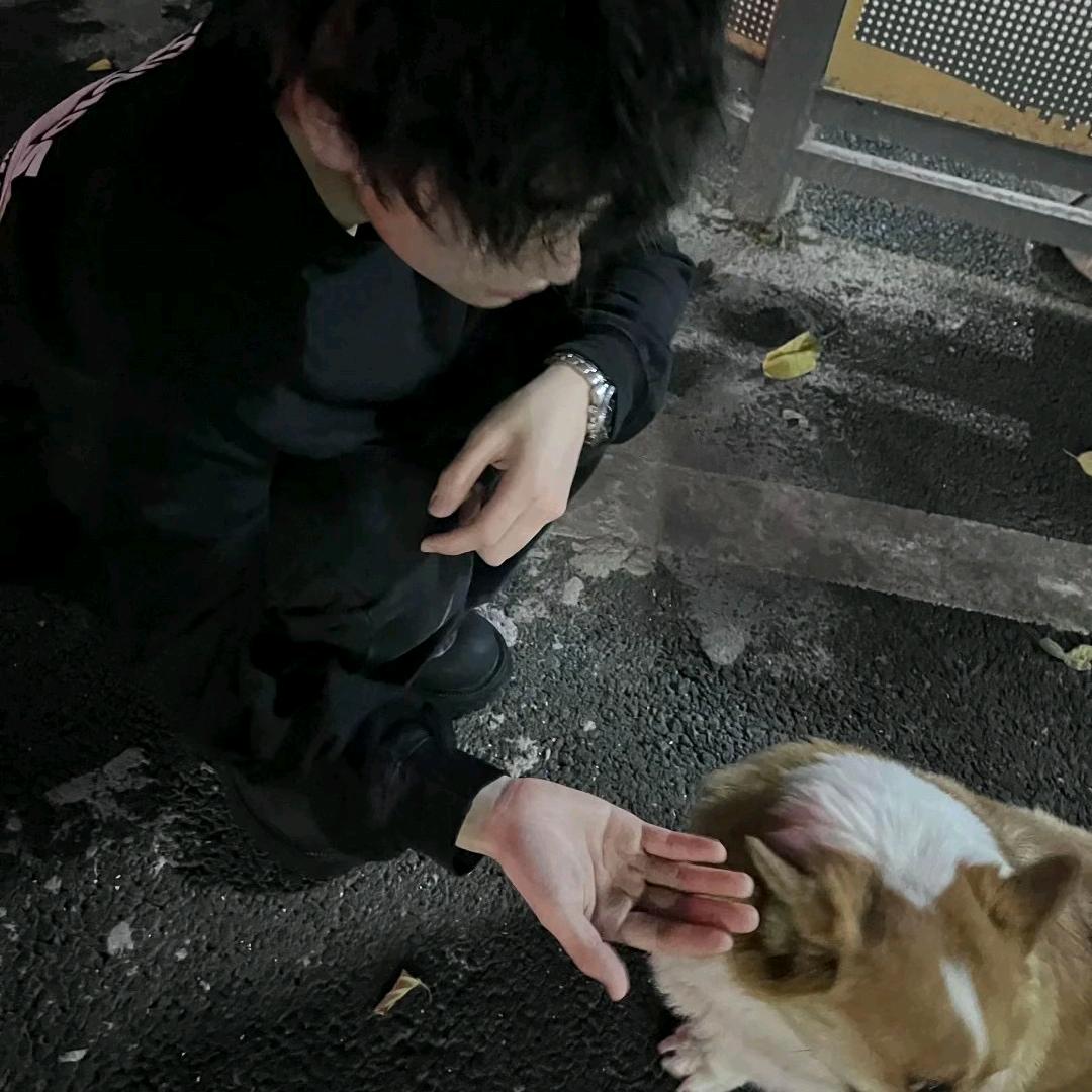 "夜雨声烦…