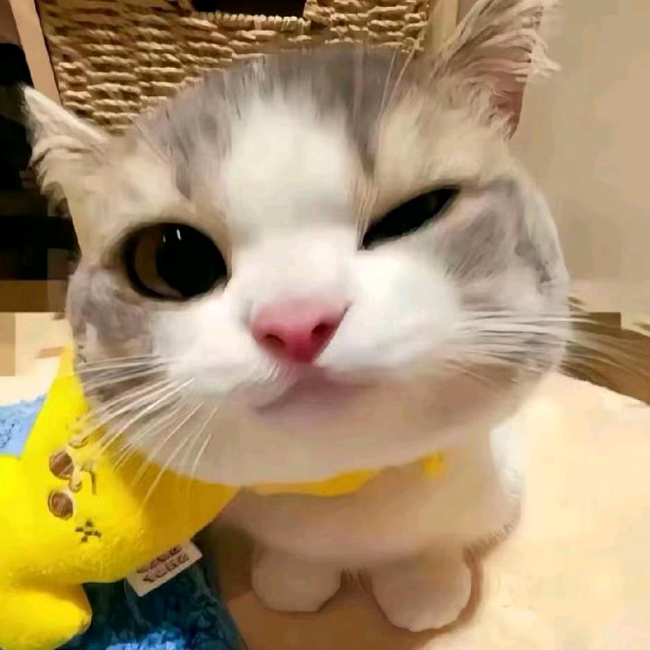 咪咪兔