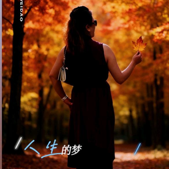 莲年好运