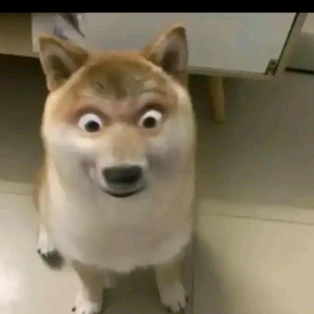 灞波儿奔