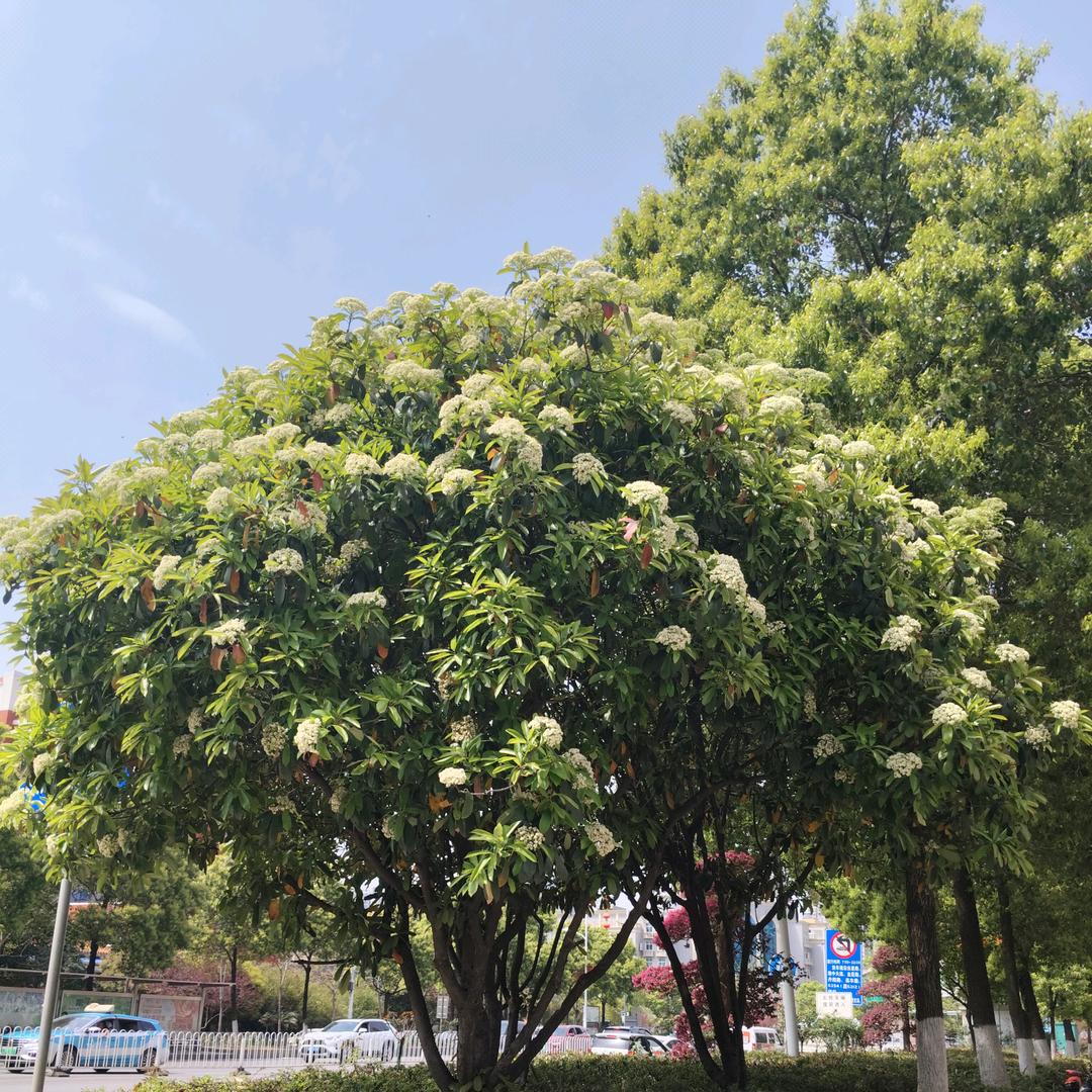 自动养殖设备