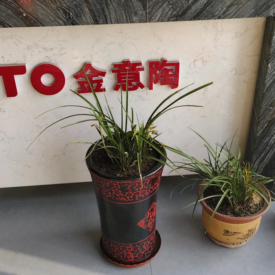 眼见为实
