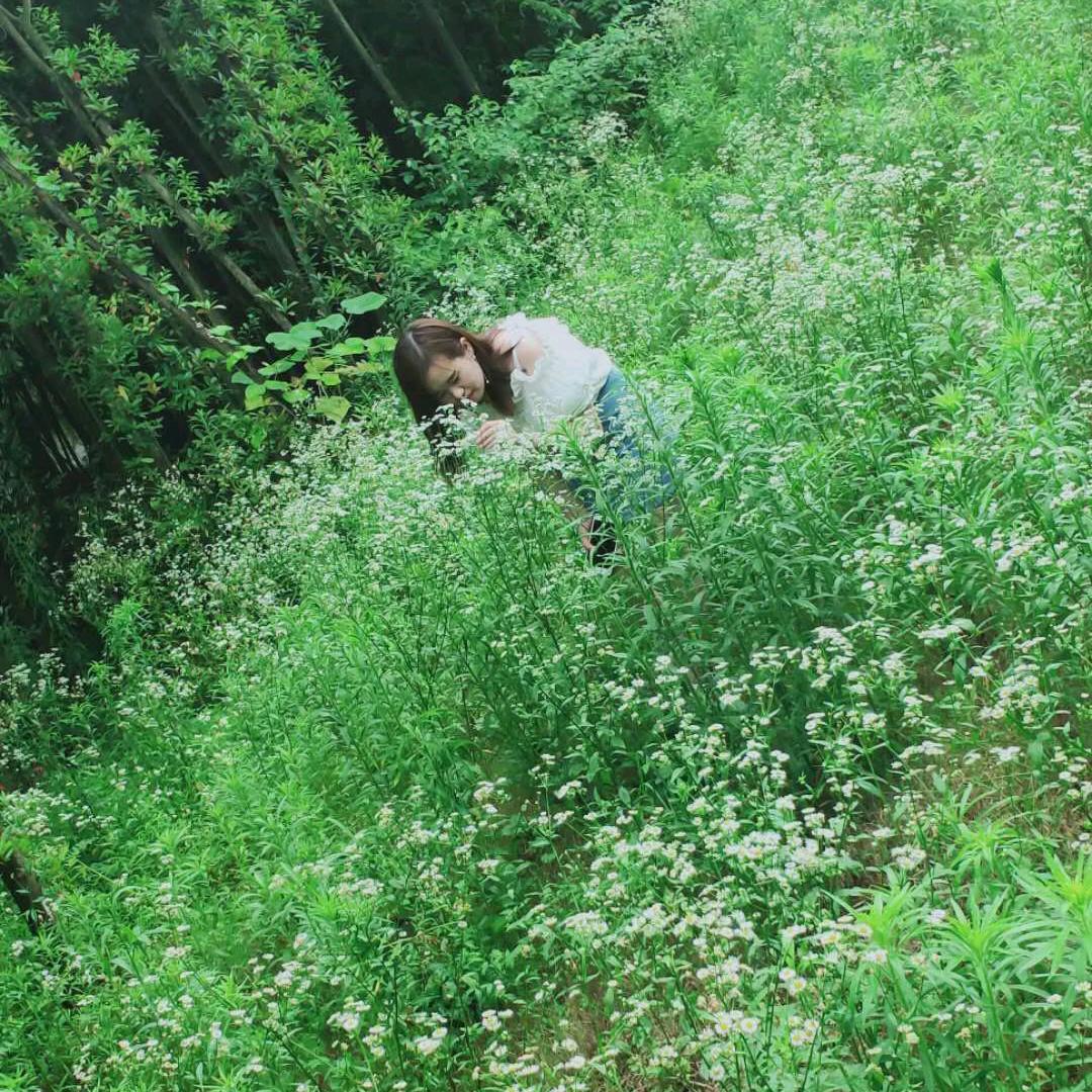 燕芓🕊️773