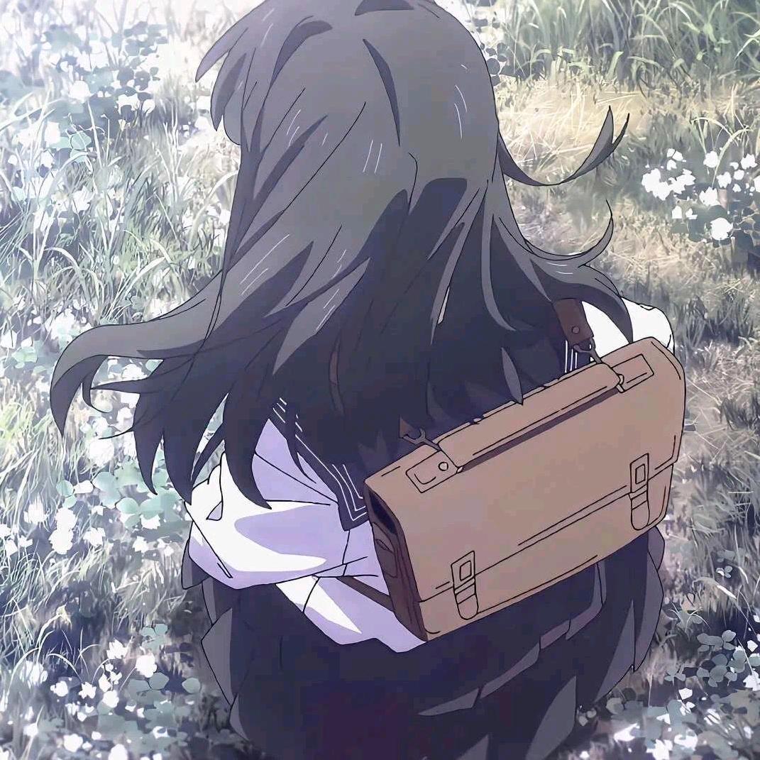 风许秋愿