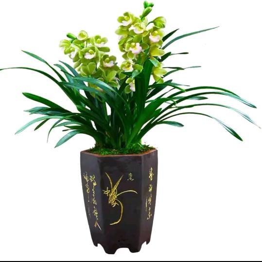 福建领尚科技
