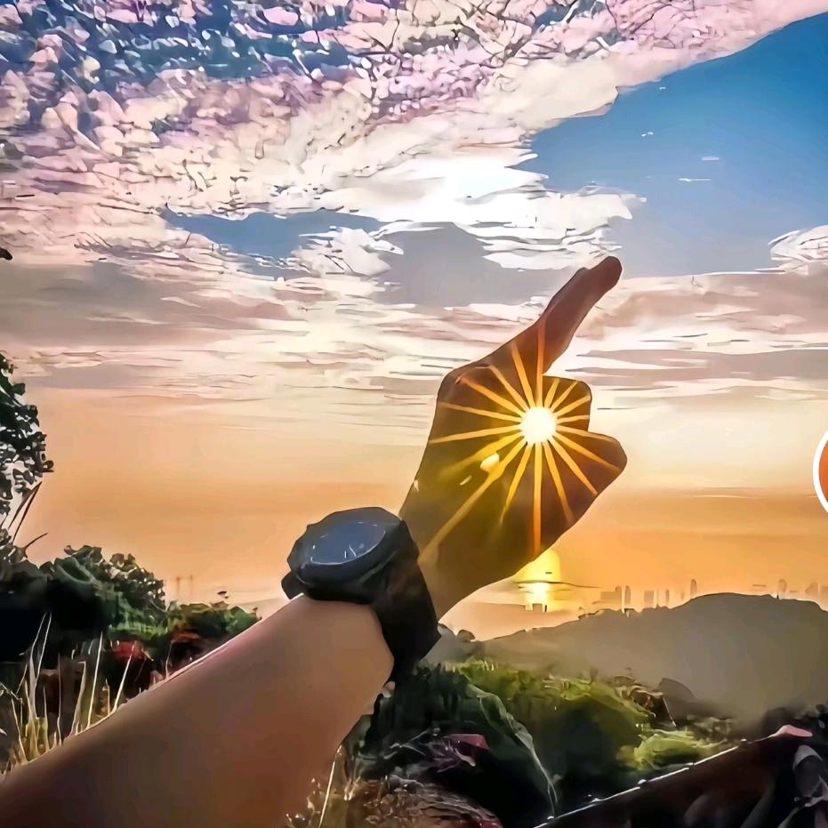 陈晨👁️