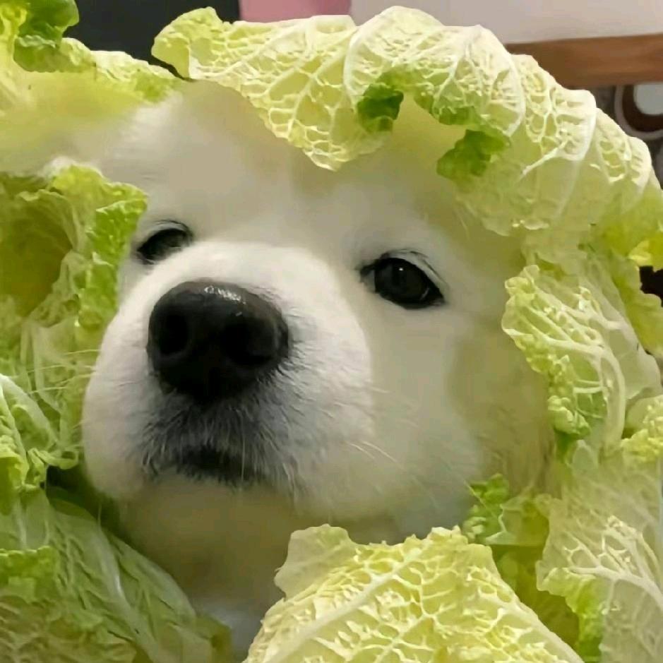 ໑ຼₒ₂₄ღ᭄最初的悸动🕊꧔ꦿ᭄💞