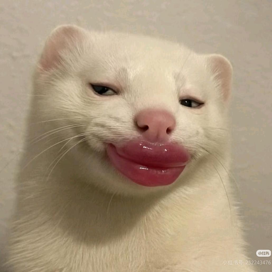 快哉快哉