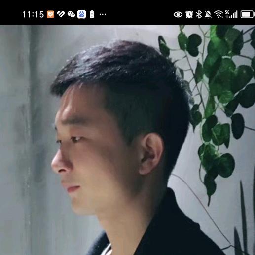 枫叶传奇