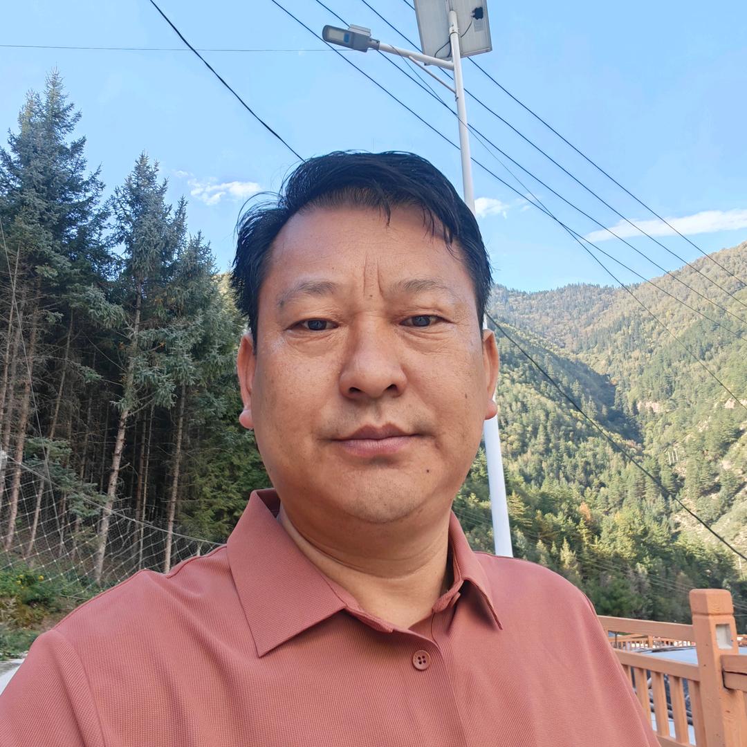 天若有情