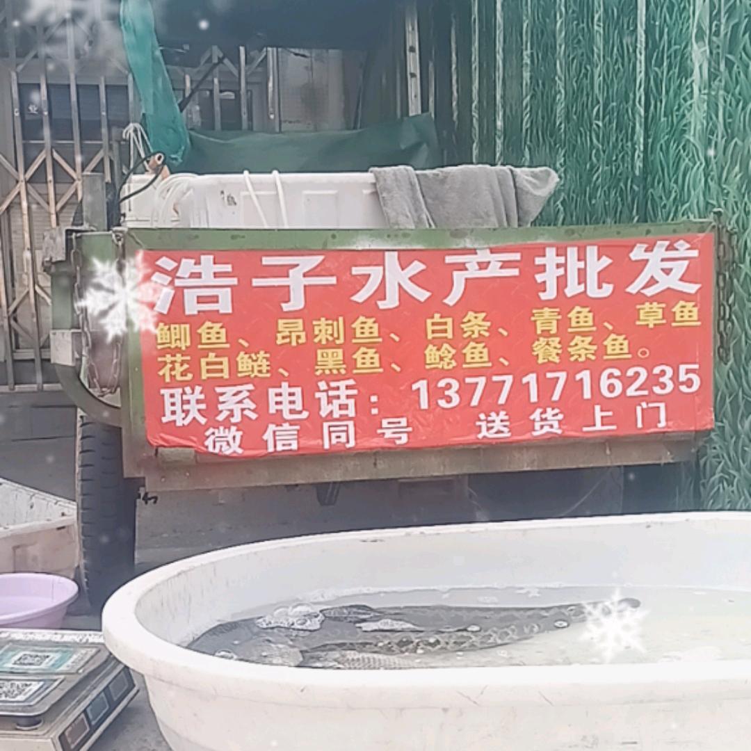 浩子水产批发