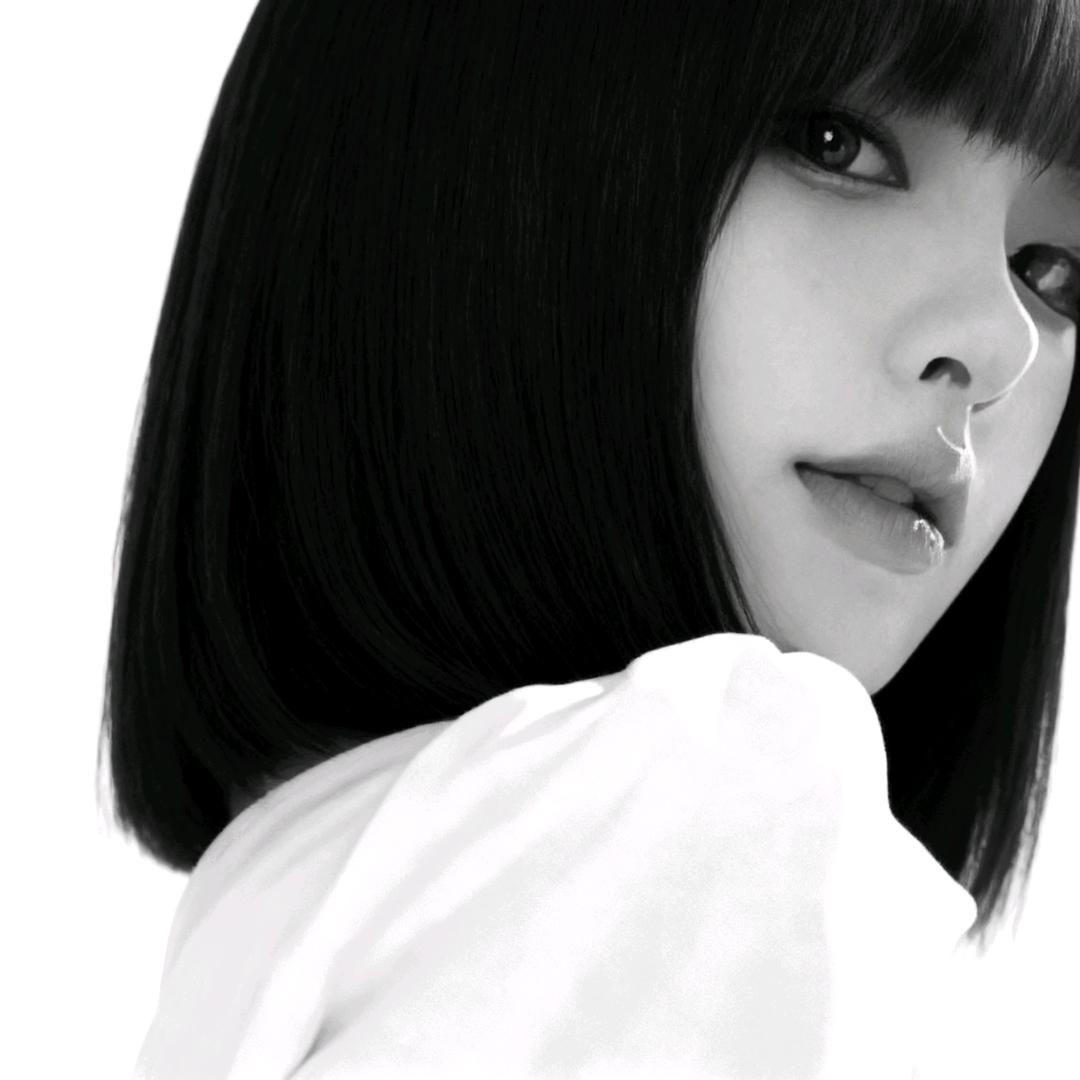 尼ko