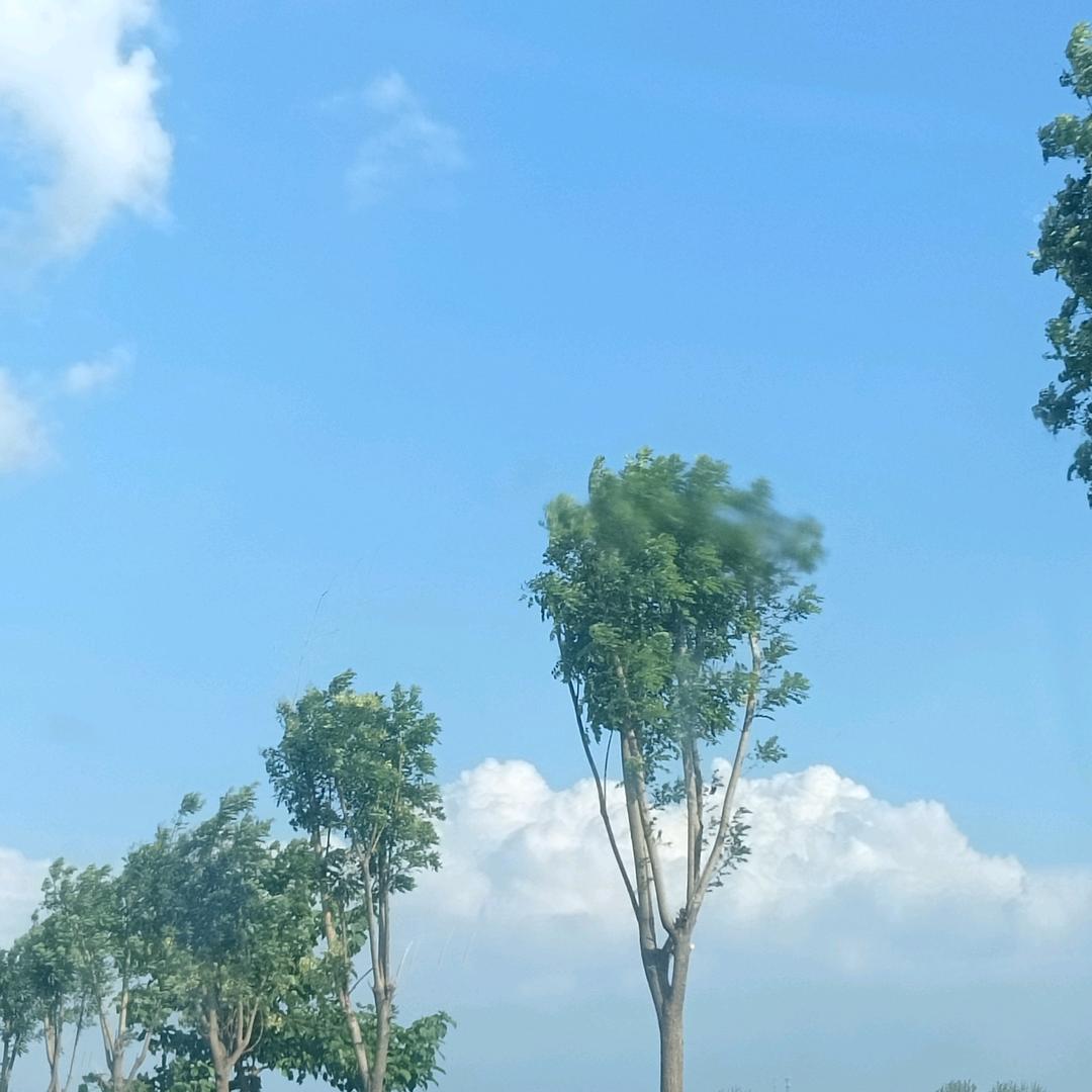 尔东分明