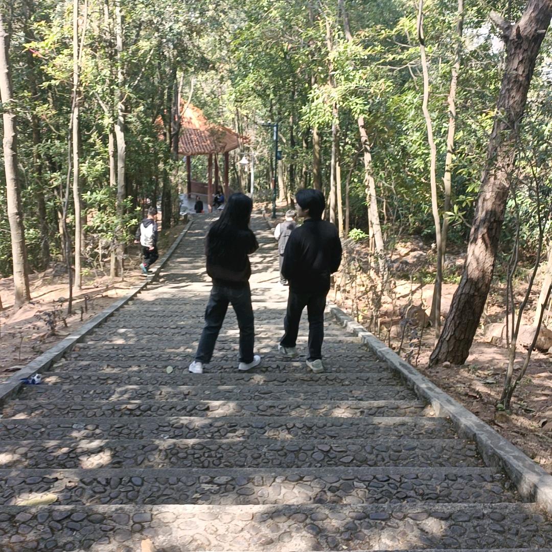 ZX晨霞（切勿连赞）谢谢！
