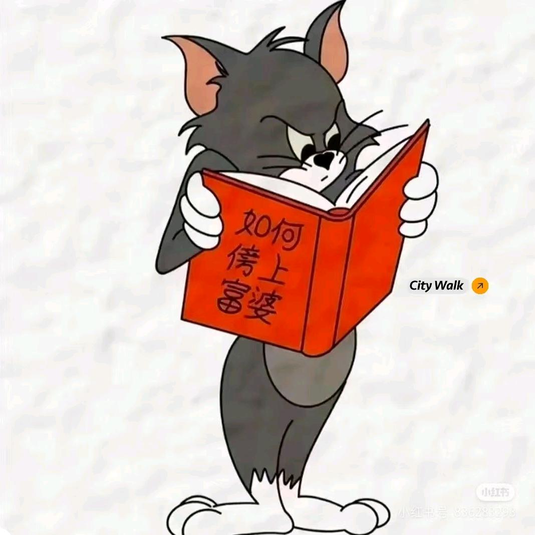 轻舟已撞大冰山