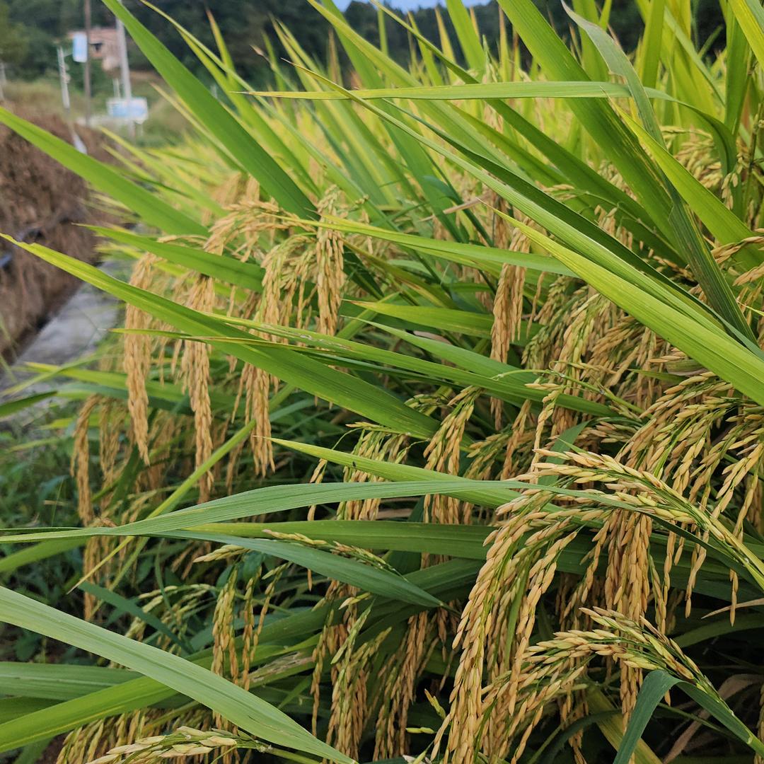 婷婷爱生活  ⁶⁶¹