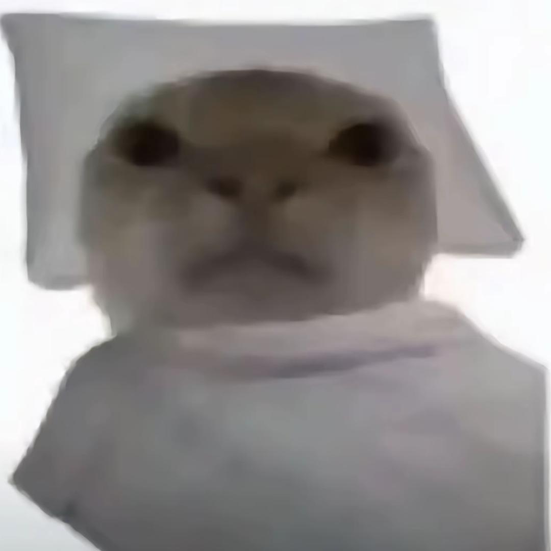 鸡二