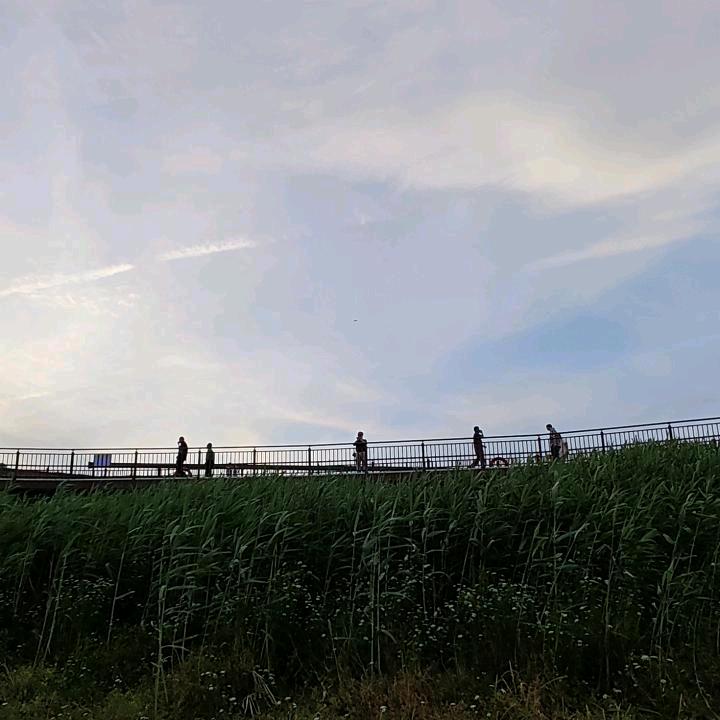 左鹏右飞(双胞胎)