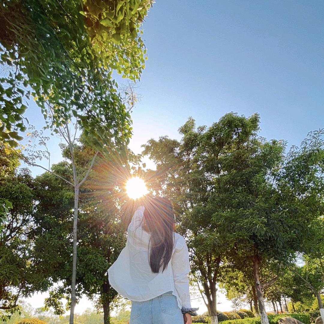 苹果🍎