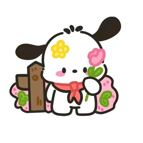 小欢狗好物分享