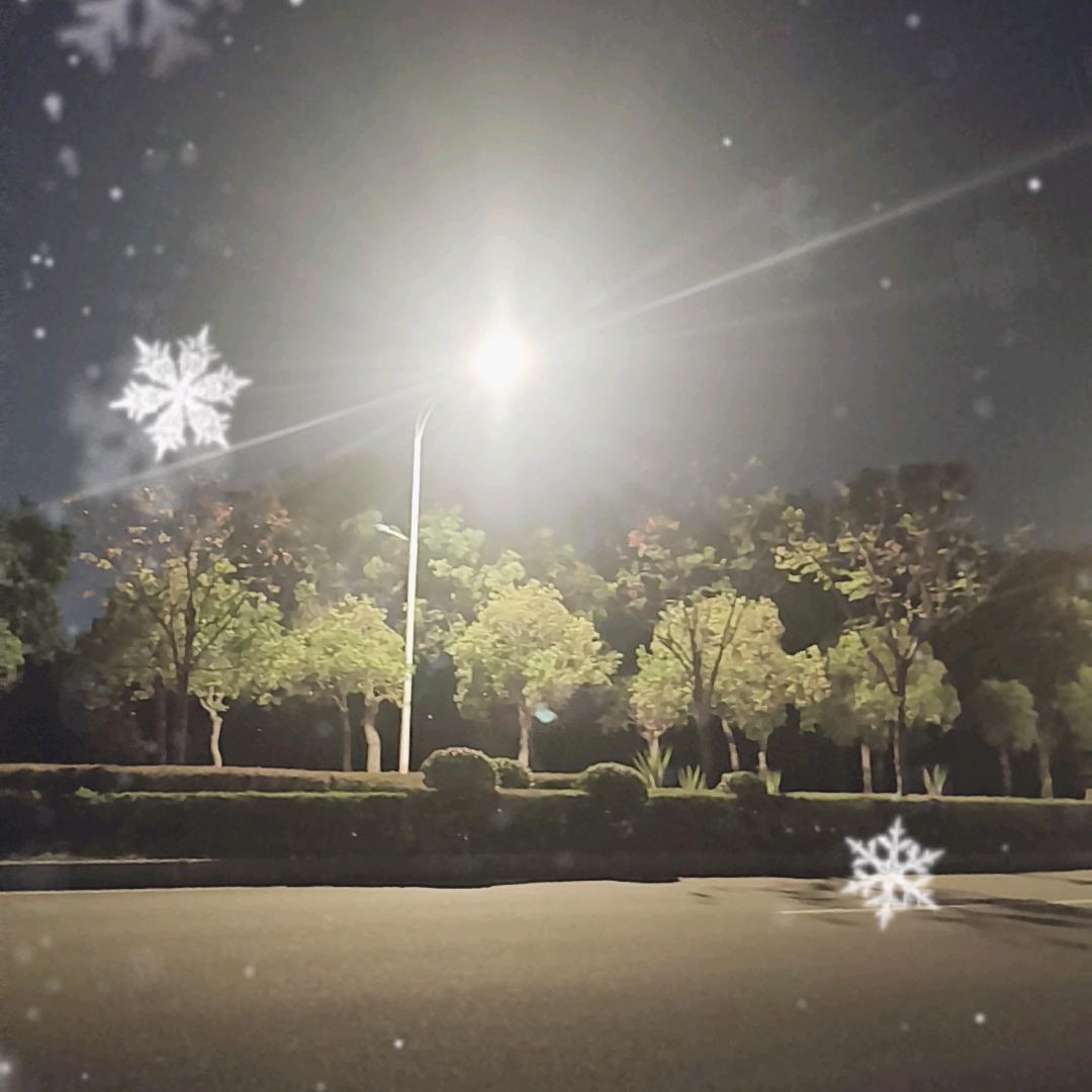 @林北：人生看透透，烧酒配土豆@