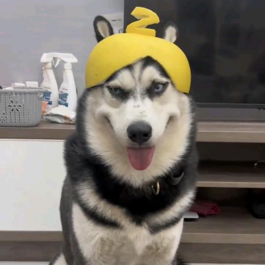 你说。我在听