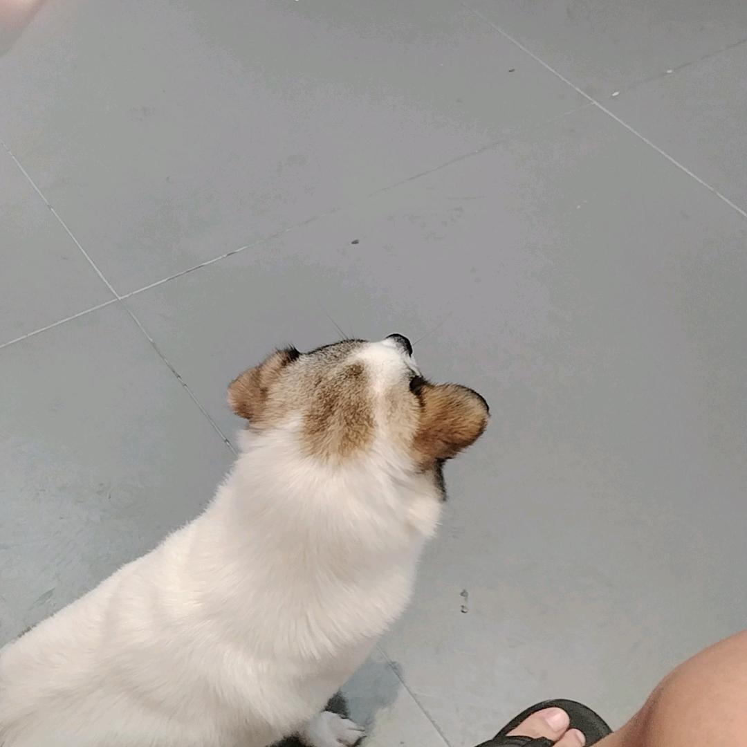 旺旺生活家-高万直播3号