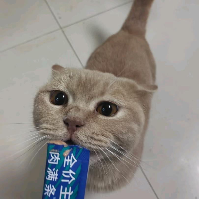 小🌸