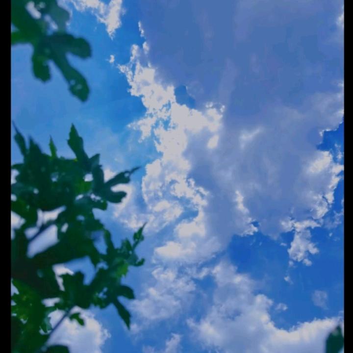 傅诗淇的果子(怀念小学版)