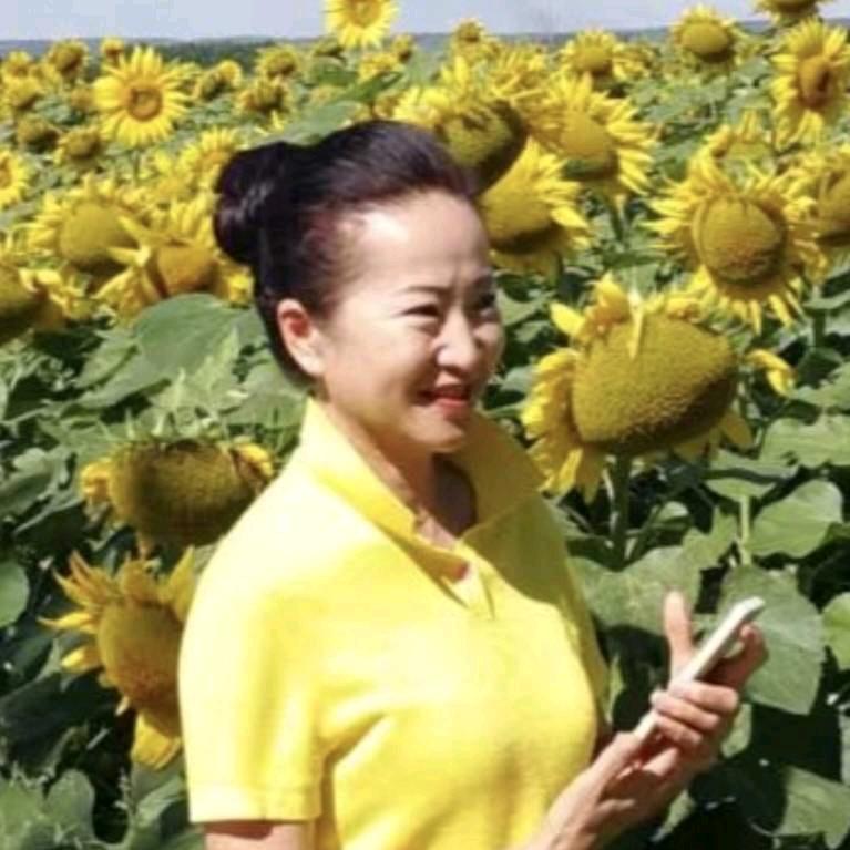 莲