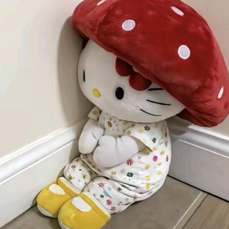离异带俩喷火王八