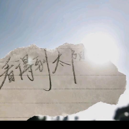 ✨️✨️✨️鸢尾花开🌸