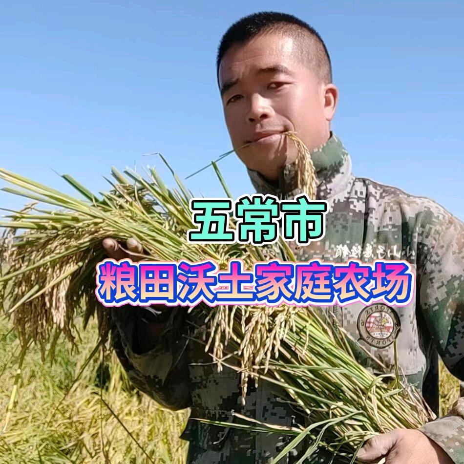 洪伟家五常大米（心意道）