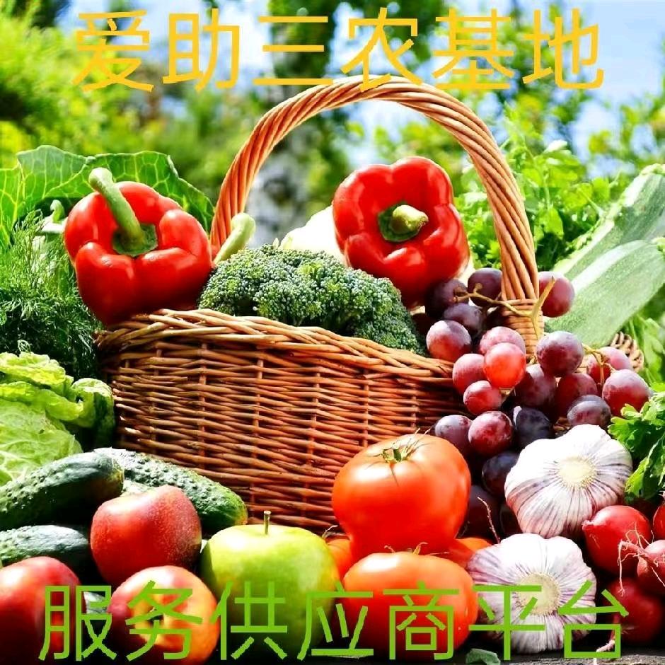 🌻❤爱助三农服务生活🌻