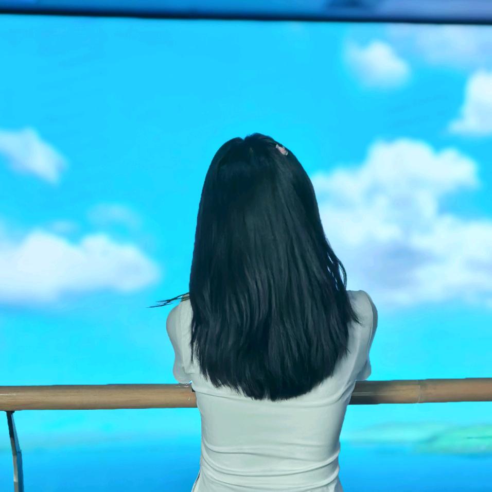DL-检测认证joy