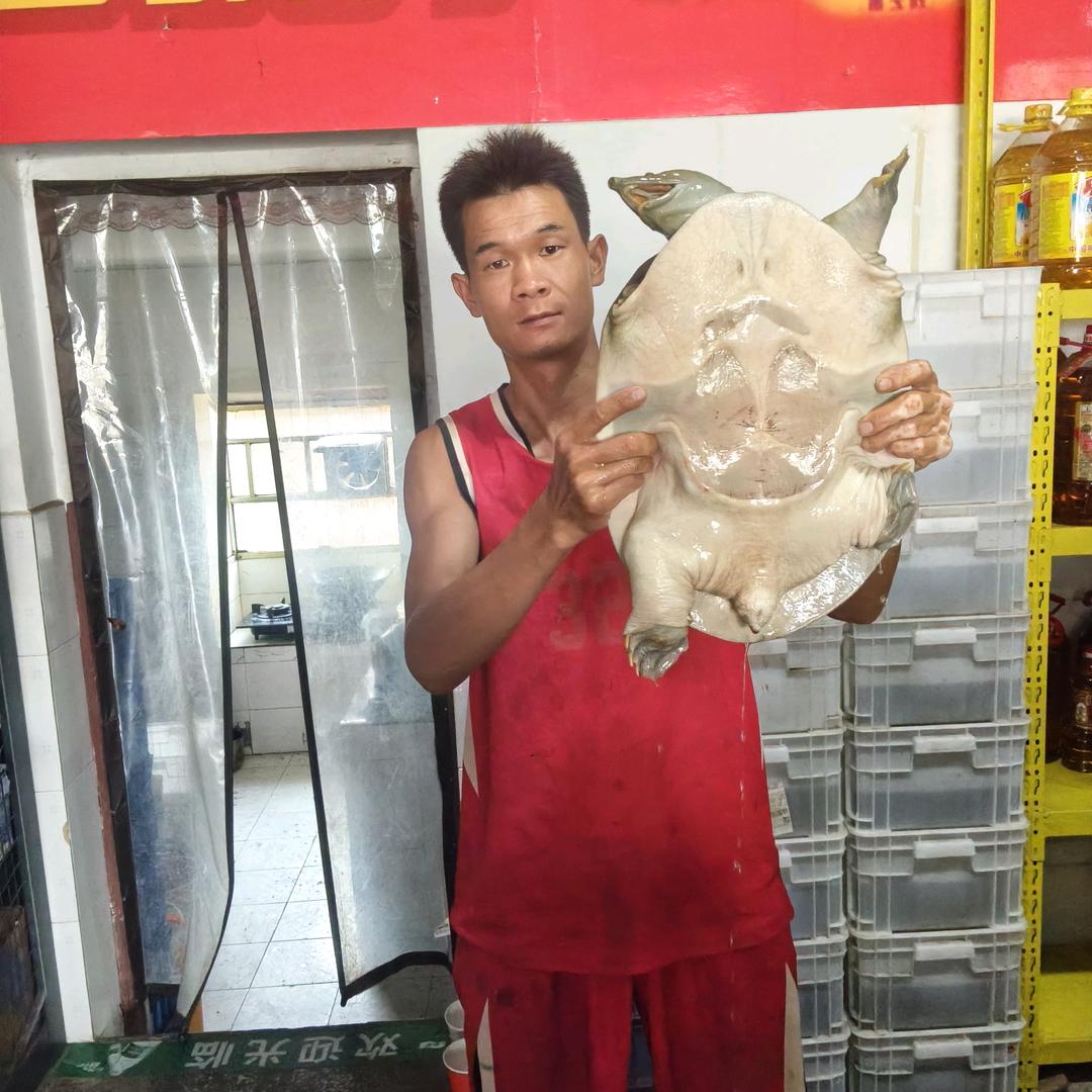 卧龙特种养殖专业合作社