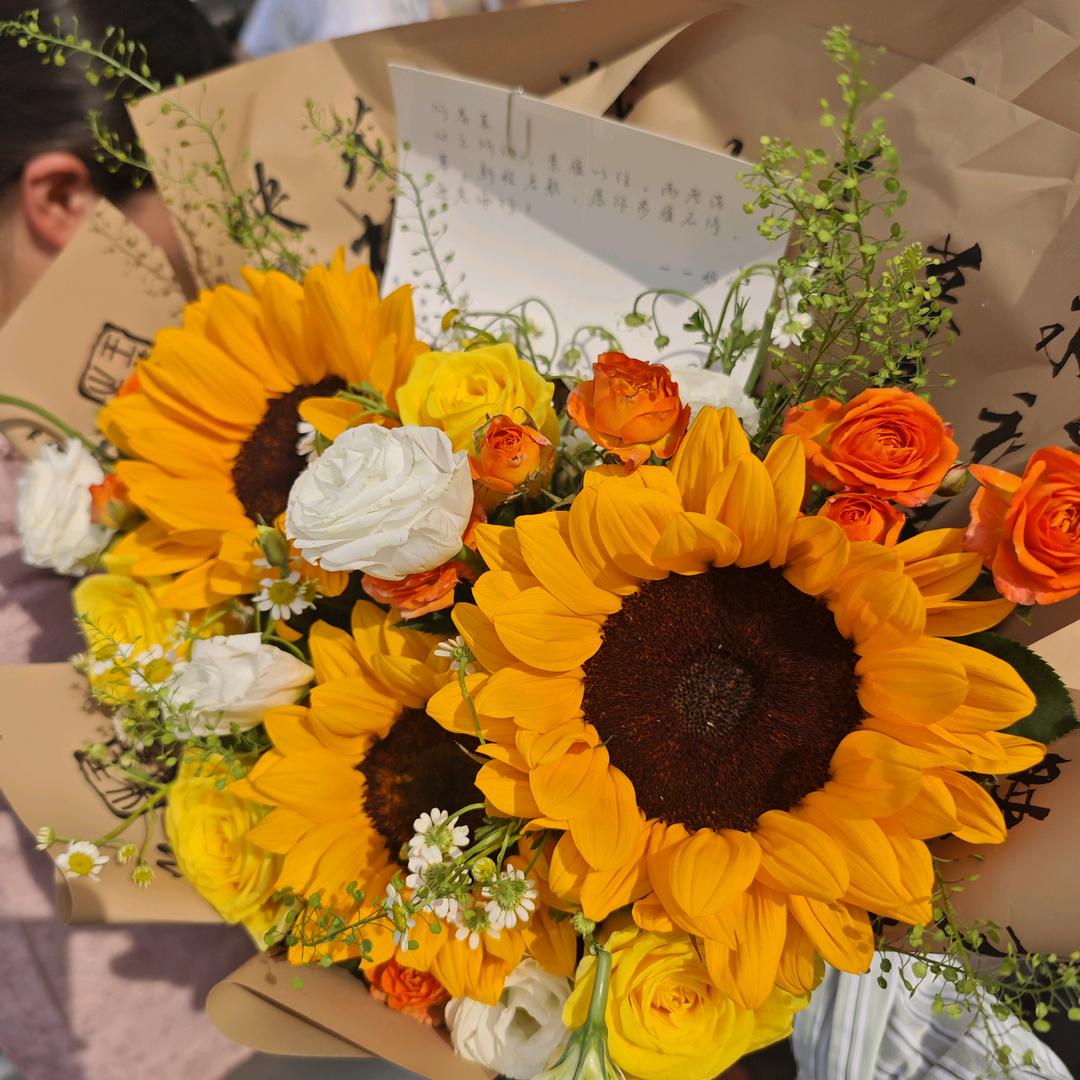 🌻🌻🌻