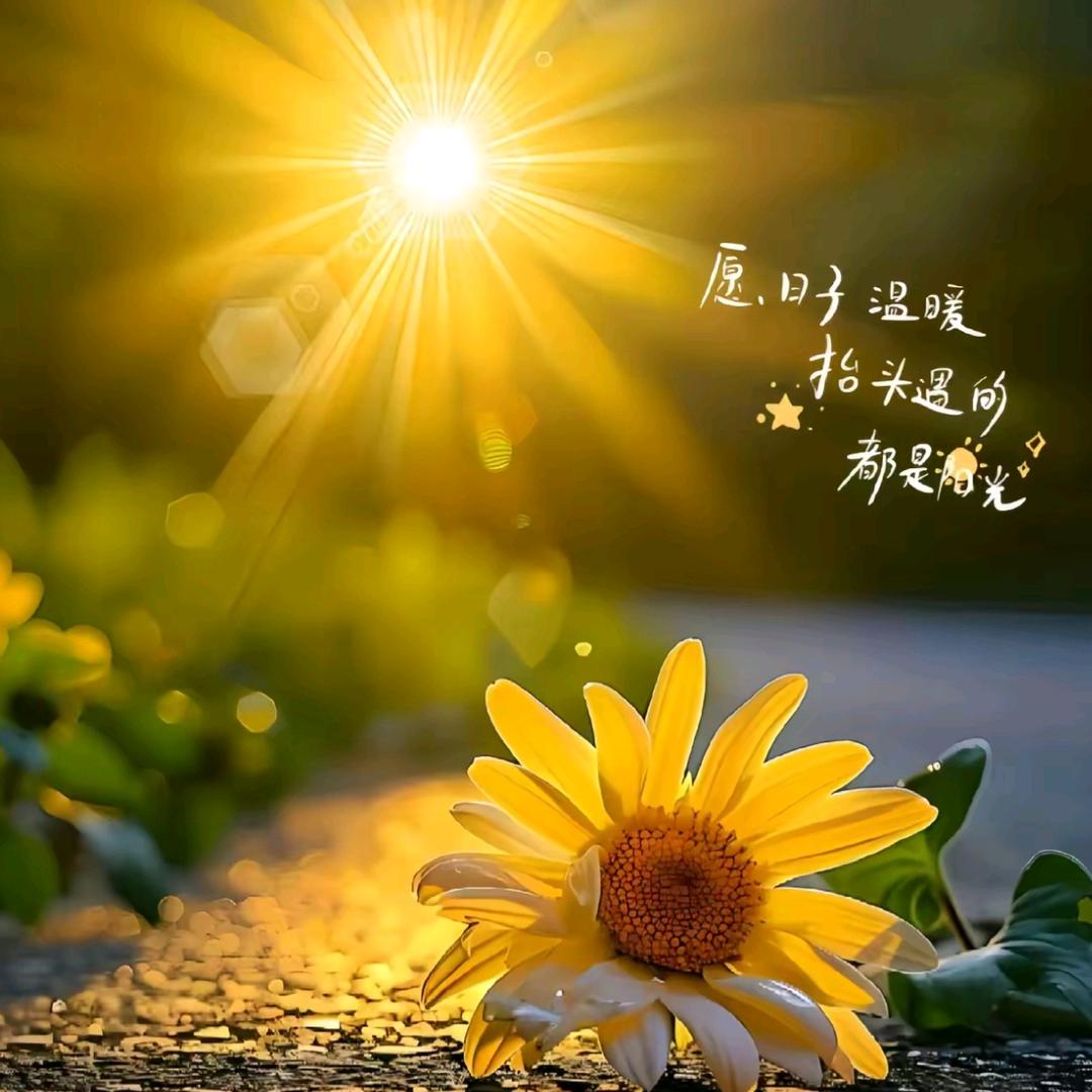 @减¹⁰⁰🥩🥩🥩