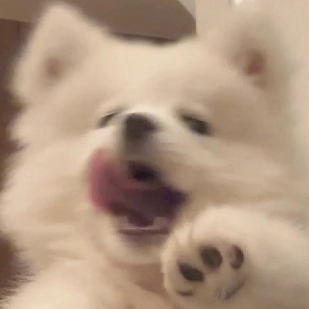 风止云泥