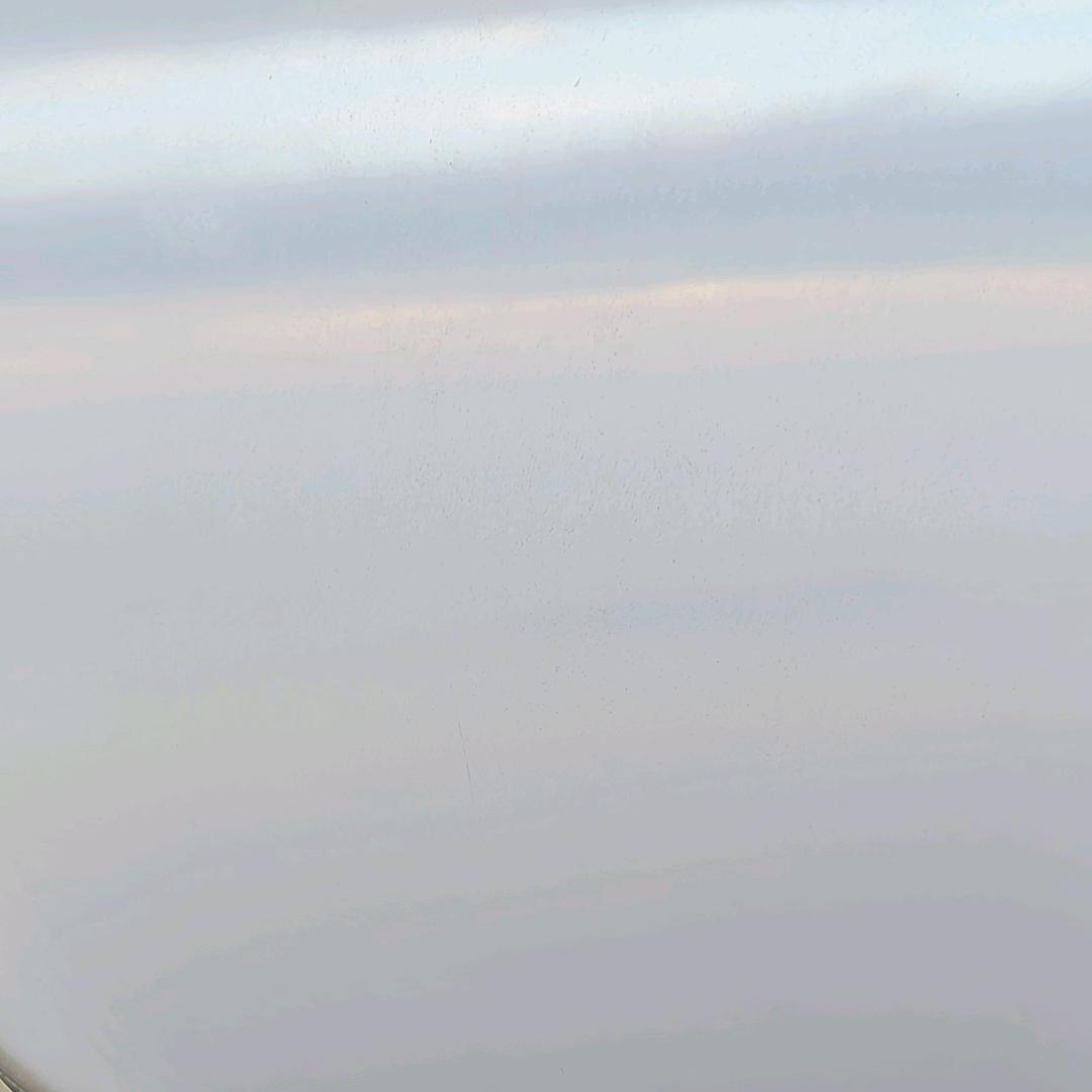 我有一只奶团子