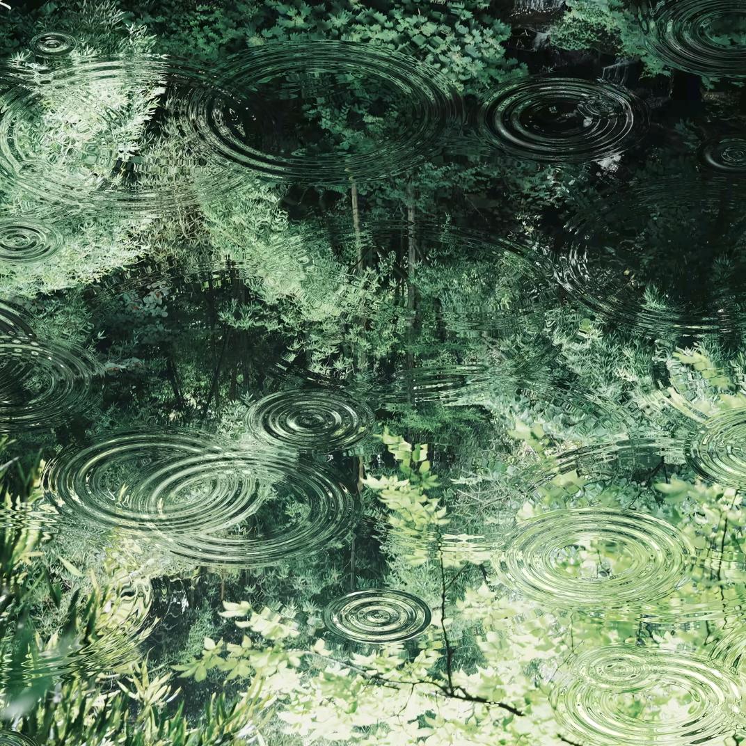 沈墨华是合盟大尉长。无江是北冥的徒弟。