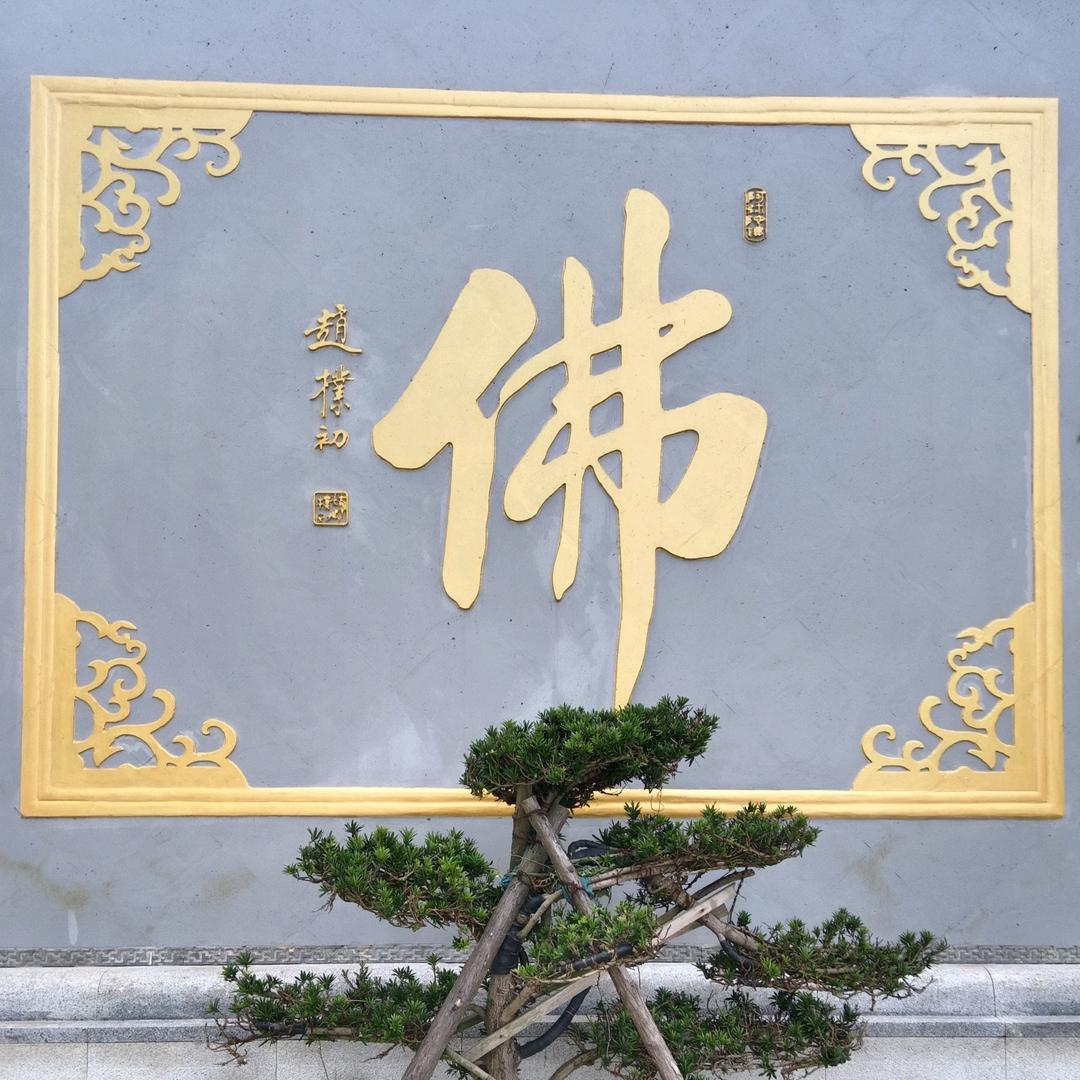 ☞言不由衷☜