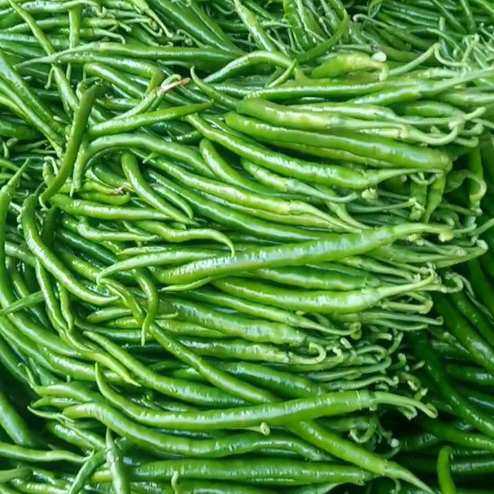 蔬菜代办小林《八通》