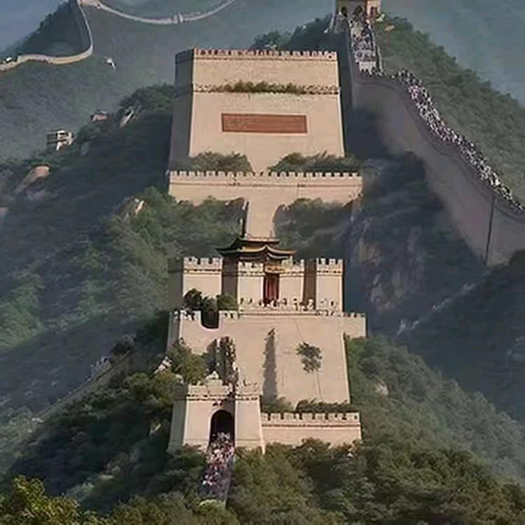 在莆修🔫